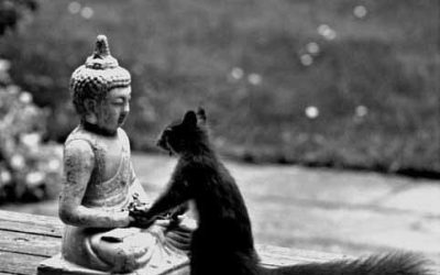 Protégé : Grrr…