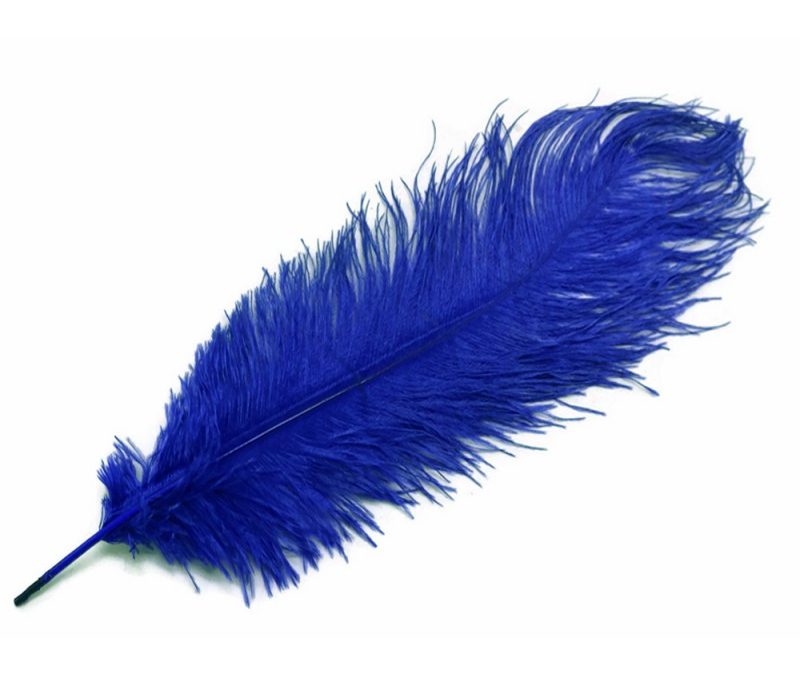 Protégé : Dessiner son destin…